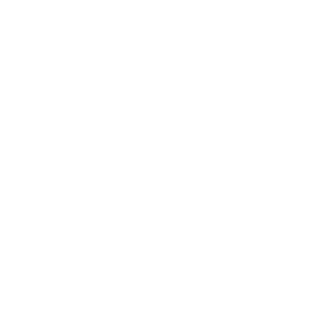 THE CITY IS YOURS